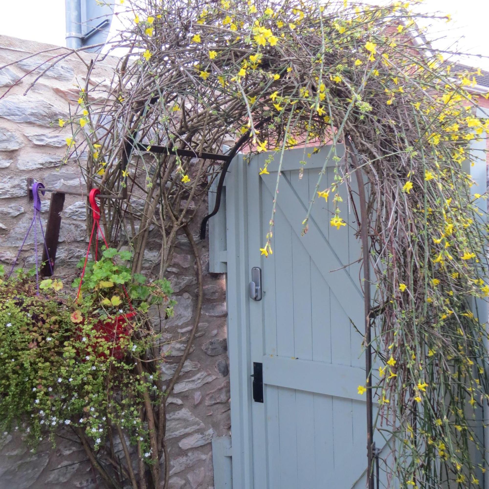 Frog Palace - Secure Parking-Outside Area-Topsham-Exeter-Beach-Chiefs-Wifi Экстерьер фото